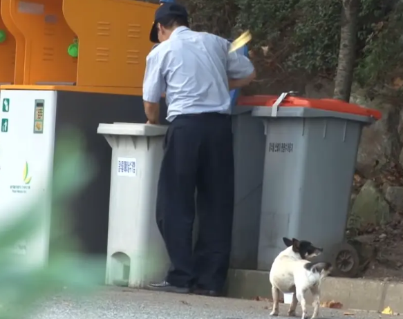 流浪狗每天去小区等主人，6年等待虽是一场空，却与保安成为朋友