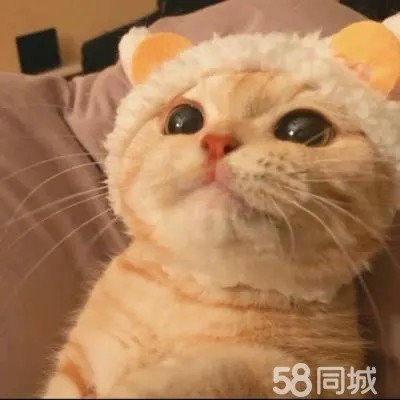 监控教程布线图片_监控布线教程_监控布线方法
