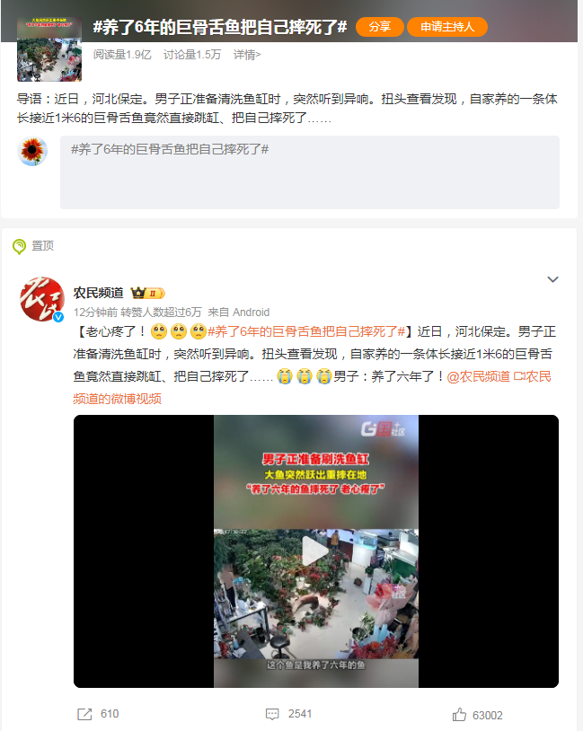 养了六年的巨骨舌鱼意外跳缸身亡，主人深感惋惜