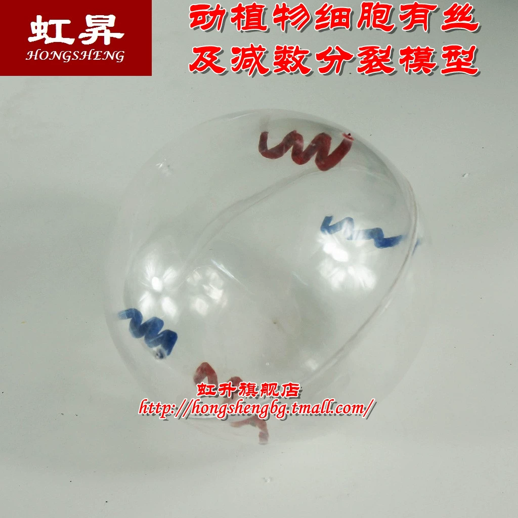 sms生物_生物smo是什么_sms