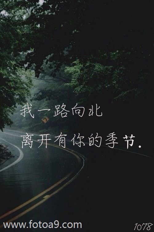 全国官方姓名数据库_官网姓名库全国数据查询_全国姓名数据库官网