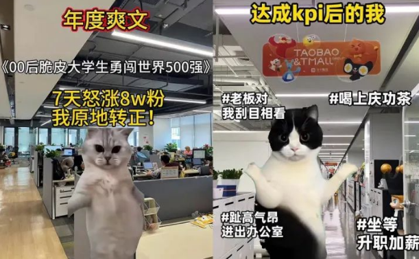 “00后”接管官方账号发猫咪爆火！