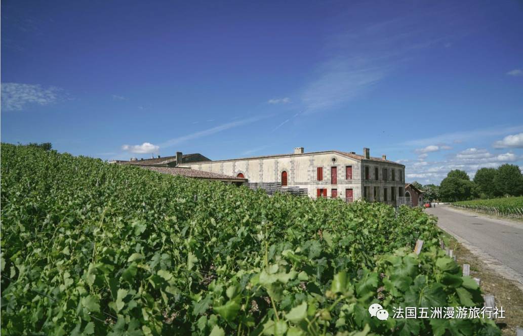 美国拉菲红酒价格_拉菲酒官网_酒美网 拉菲