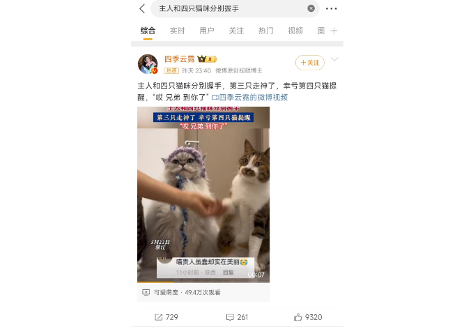 主人和四只猫咪分别握手，猫走神被“兄弟”暖心提醒