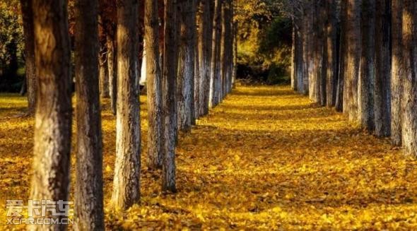 杭州道路监控查询_杭州交通监控_在哪查道路监控