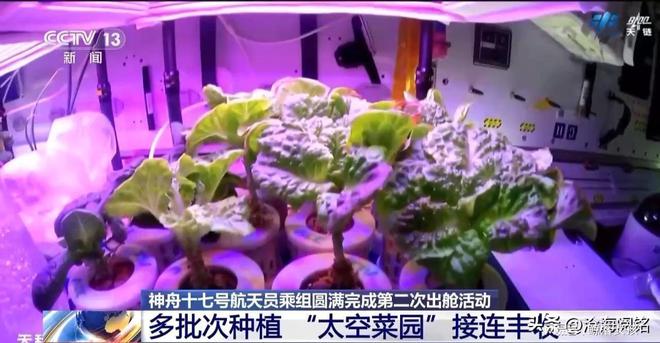 航天载人科技_载人航天技术要求_航天载人技术要求是什么