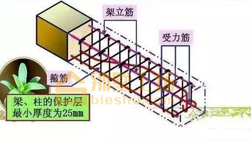 梁配筋示意图