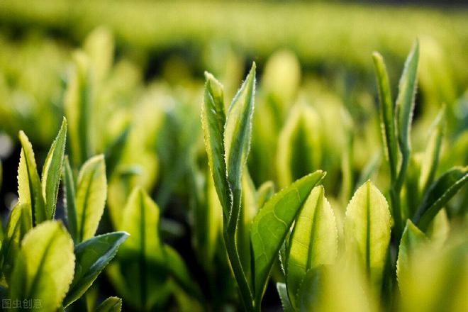 监控布线规范_监控布线规范国家标准最新_监控布线规范要求标准