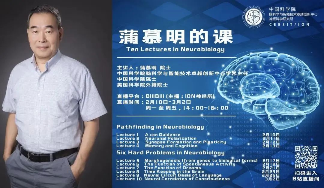 官网查询网站_官网ui_sreng2官网