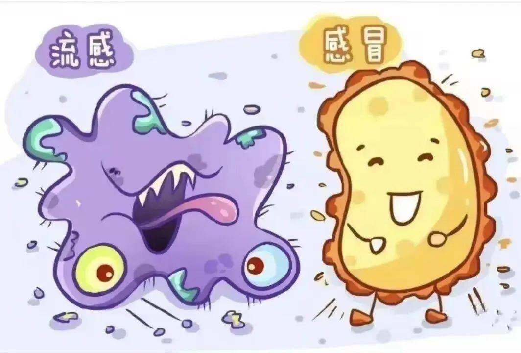 肺可怕结核有什么症状_肺结核到底有多可怕_肺可怕结核有哪些症状