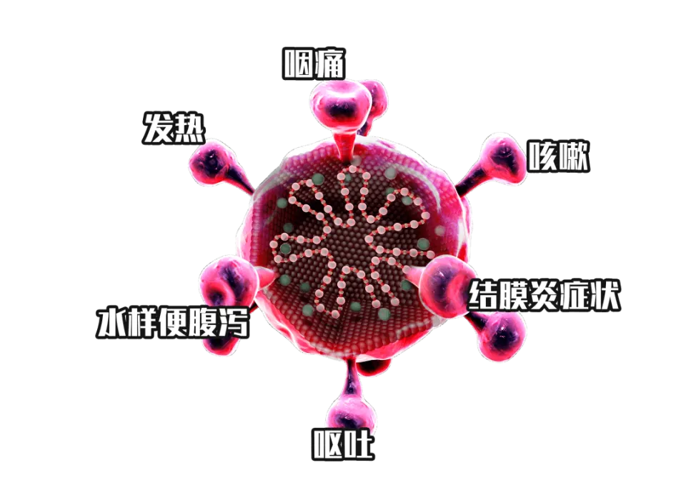 肺部感染的证状_肺部感染征象_肺部感染的症状