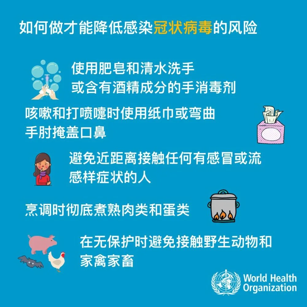 病毒的文件类型_文件型病毒分为_病毒型文件分为哪几种
