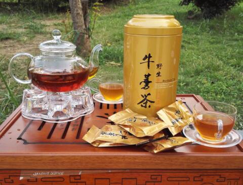 牛蒡茶效果好不好