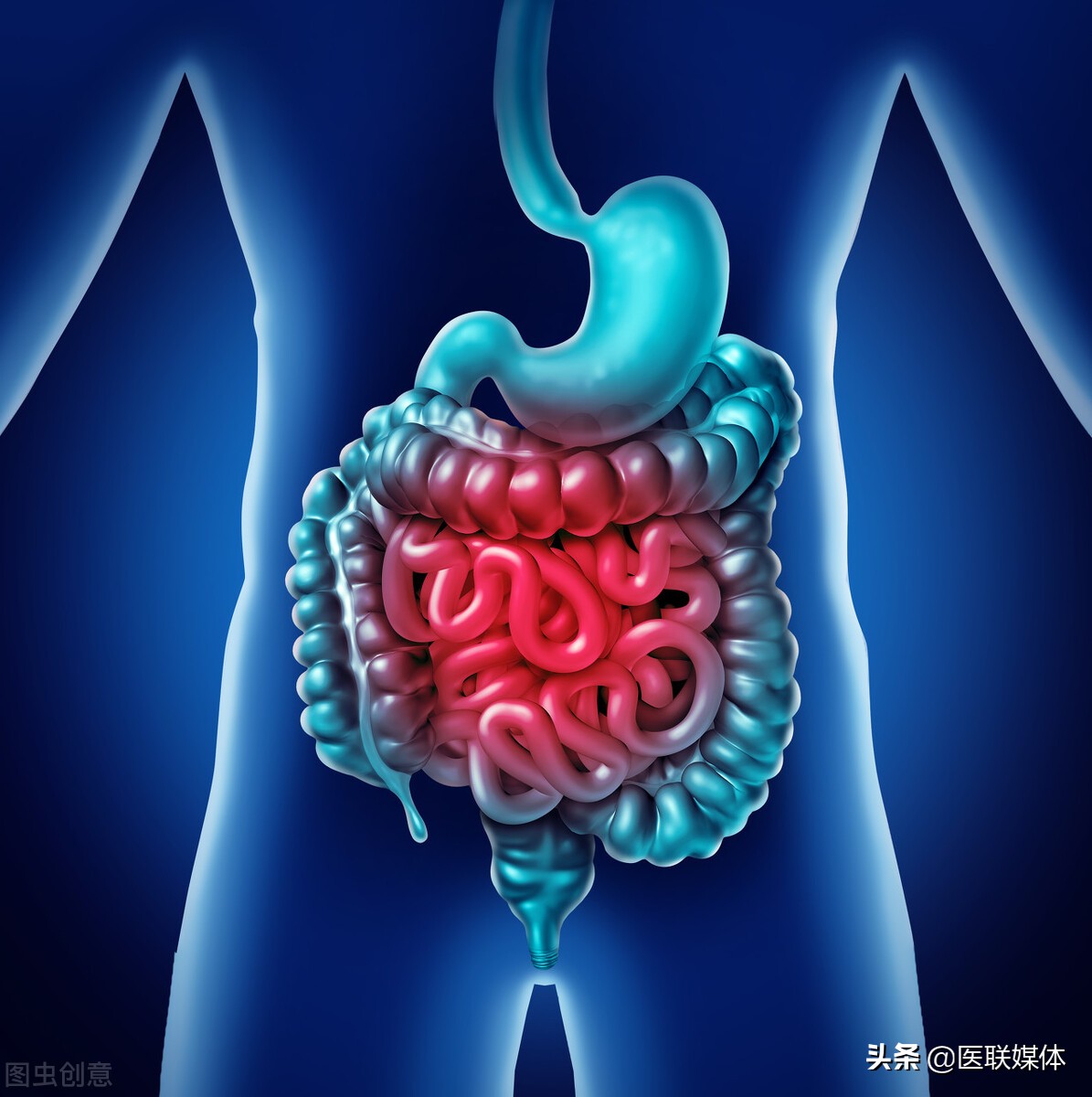 出血便秘大便回事是什么原因_便秘大便出血是怎么回事_出血便秘大便回事是怎么回事