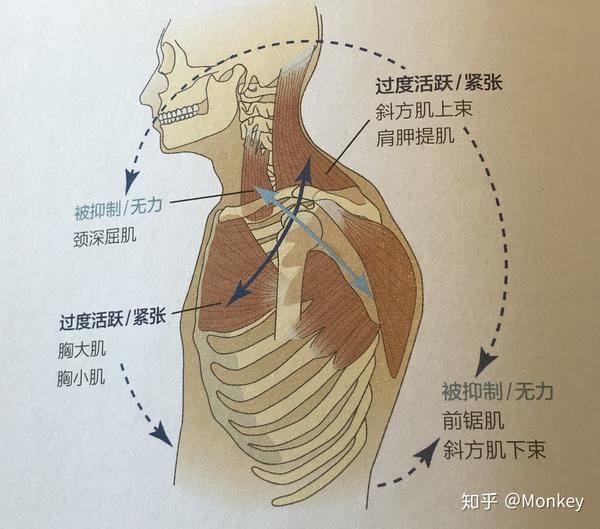前胸后背疼痛八种病因_后背痛引起前胸部也痛_后背疼前胸也疼是怎么回事