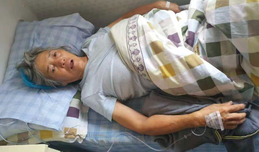 救过数千只狗的7旬老人，如今抱狗求人的模样让人泪目...