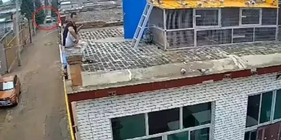 嚣张！河北一伙偷狗贼白天套狗，狗狗发出惨叫，村民屋顶怒砸砖块