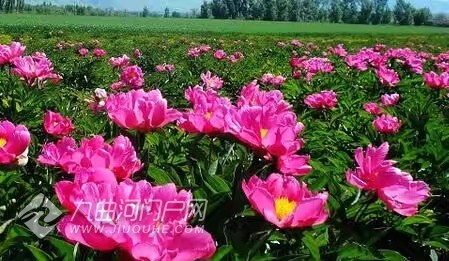 乐至到资阳汽车最早_资阳至乐至汽车票_资阳到乐至汽车时刻表