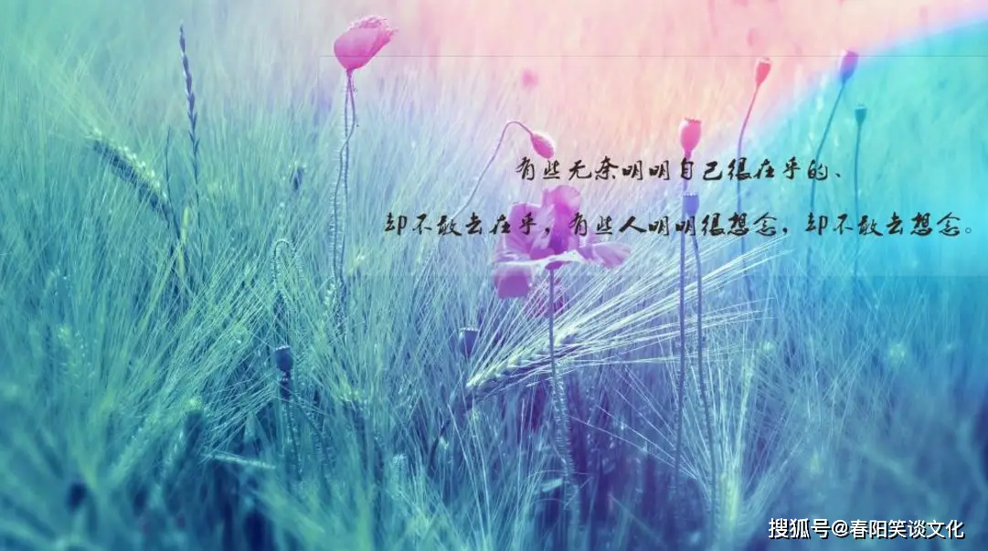 禁止启动设置_nwiz可以禁止启动_禁止启动项导致不联网怎么办