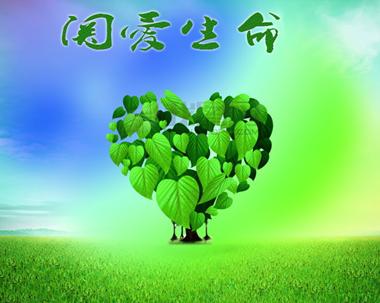 朝阳医院区大屯院区地址_朝阳医院大望路分院_朝阳区大屯医院