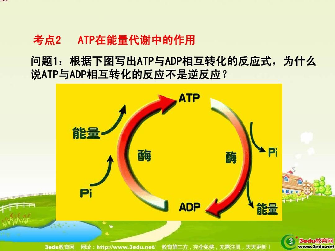 ecosystem是什么意思_意思是什么_意思是谁发现的