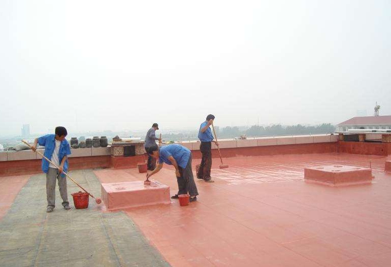 1529722524611169.jpg
