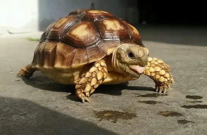 有效身份证明法律依据_法律依据证明身份有效吗_法律规定的有效身份证明有哪些