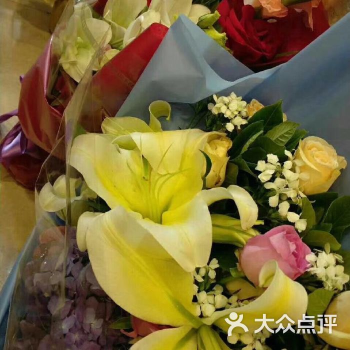辽宁整形医院有哪些_辽宁整形外科医院排行榜_辽宁整形医院哪家