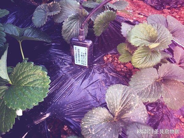 恒温恒湿机组工作原理_恒温恒湿机电加热作用_恒温恒湿机电控原理图