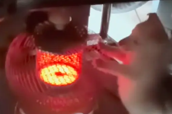 主人用烤炉暖身子时，小狗也偷跑进去烤火，站姿眼神像是个人似的