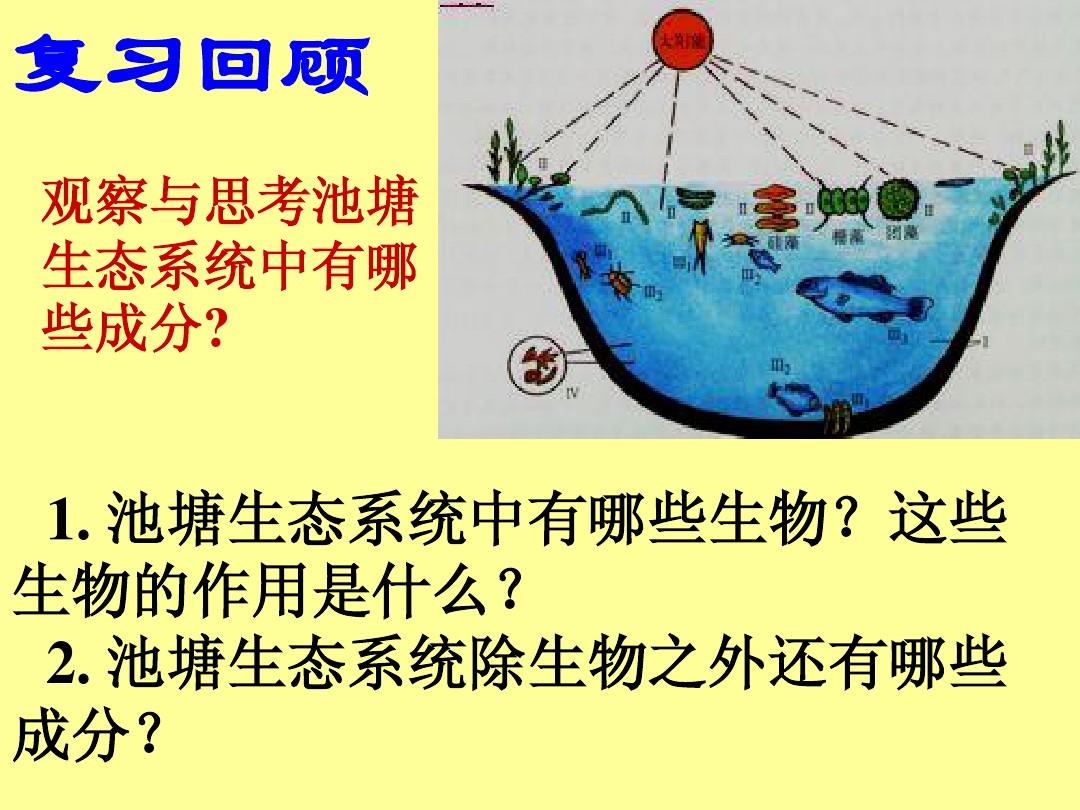 ecosystem diagram_ecosystem diagram_ecosystem diagram