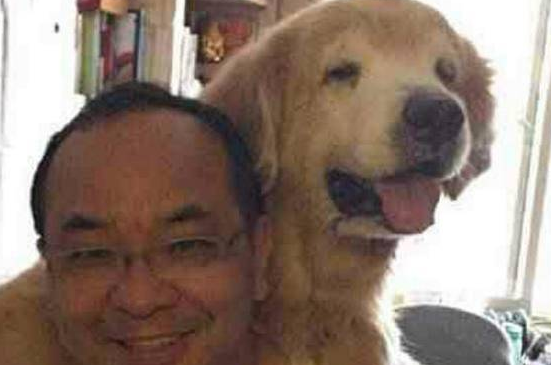 狗狗陪伴主人15年，弥留之际主人抱它看夕阳，狗狗眼角有泪溢出 