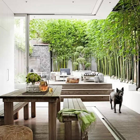 1503975212744908.jpg 2.jpg