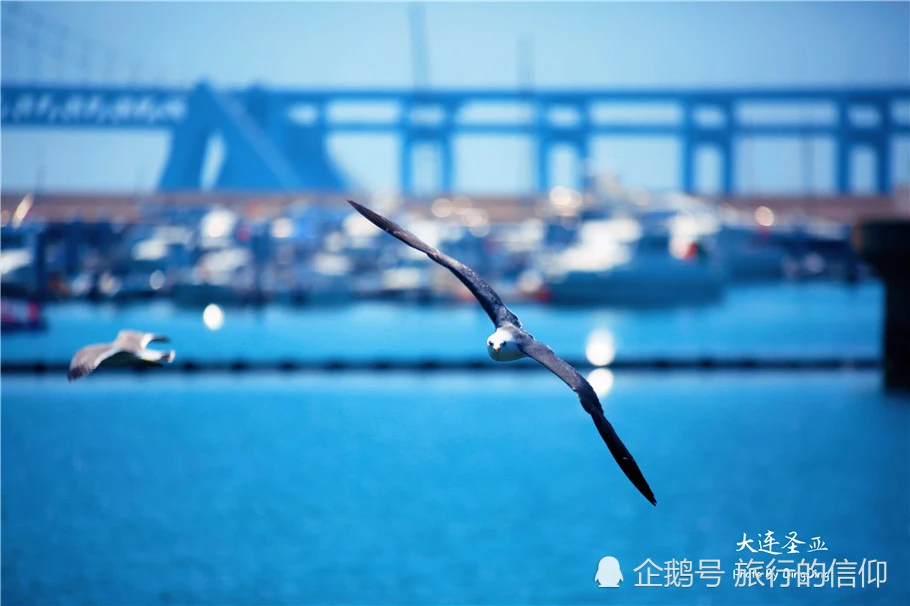 东莞Breking_东莞市_breeze东莞