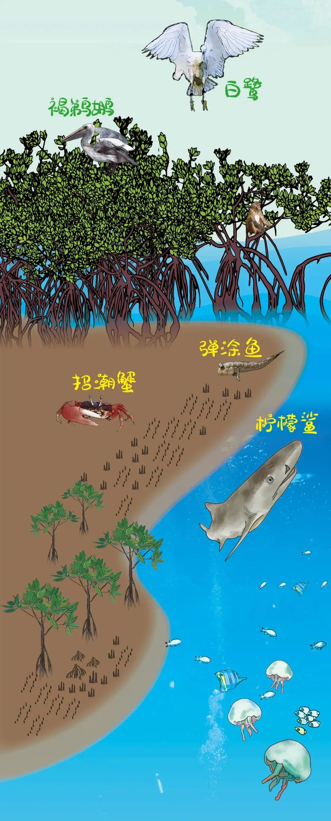 ecosystem_ecosystem翻译_翻译ecosystems