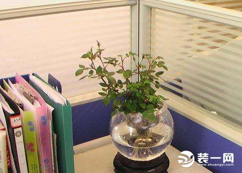 装修除甲醛
