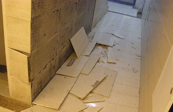 timg (1).jpg