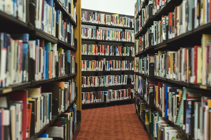 图书馆借阅小学生作文_小学图书馆借阅时间安排_小学生图书馆借阅