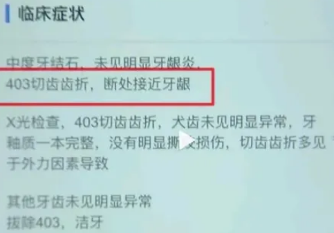 哈士奇咬羊致牙齿断裂，酒店被索赔1万2