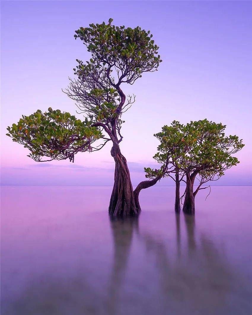 法语loic_loic教程_loic使用