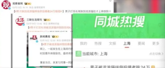 男子因投喂流浪猫要赔偿24万 案件即将迎来再审