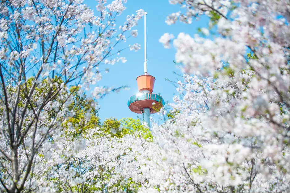 命盘在线八字排盘系统_windows xp系统盘_元亨利贞在线排盘系统