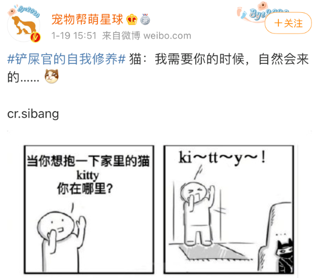我怀疑，猫咪是外星人派来阻碍人类文明发展的...
