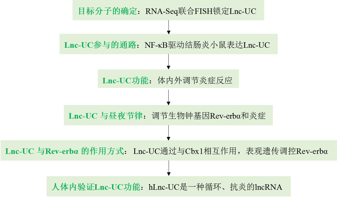 克罗恩吃肠炎宁有用吗_克罗恩病吃肠炎宁会好转吗_克罗恩肠炎