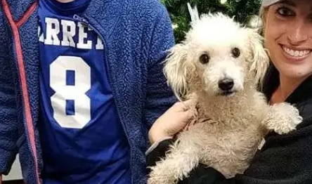 狗狗生命倒计时，临死之前体验被爱 主人：不后悔收养它
