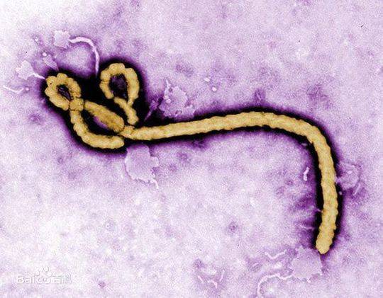 迈克菲全方位实时保护_方位实时保护迈克菲怎么设置_方位实时保护迈克菲软件