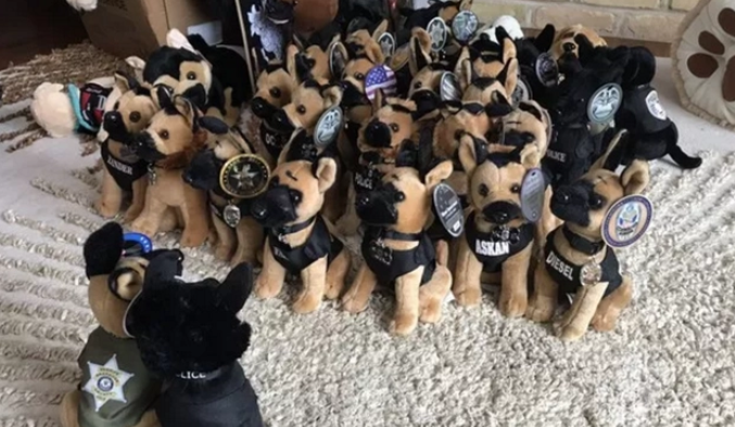 门口来了40多只警犬，还有许多警察，为了一个“女孩”而来