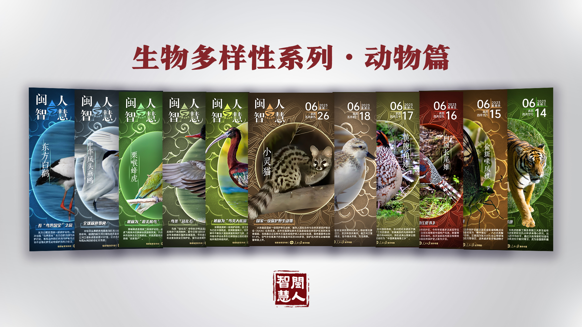 《闽人智慧日签》栏目两周年 | 九个关键词带你划重点！