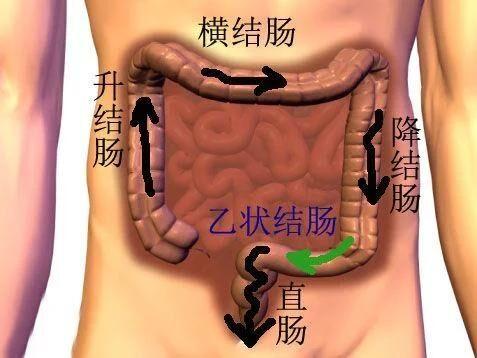 肛门失禁的治疗方法_小孩肛门失禁_小孩肛门失禁是什么疾病
