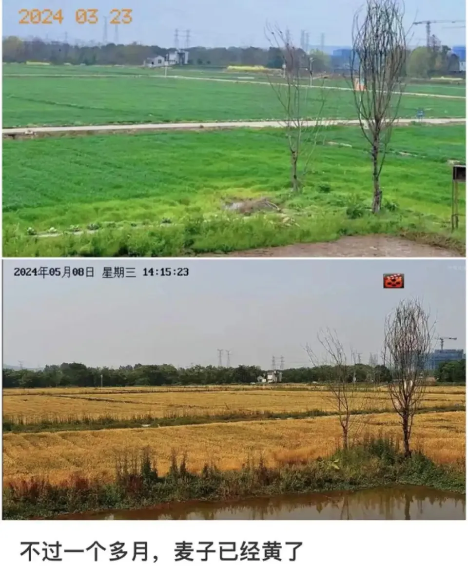 织梦去版权_天天团购去版权_团购app制作多少钱